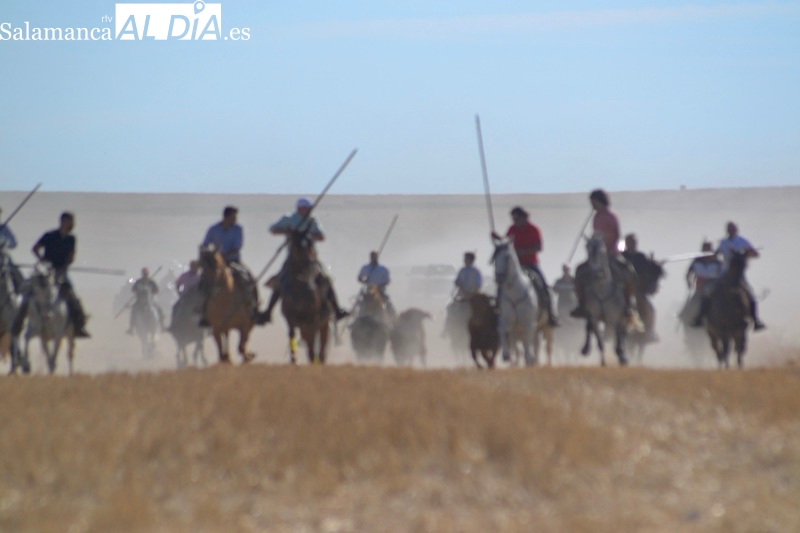 Jinetes, aficionados y vecinos abarrotan Macotera para vivir su hístorico encierro a caballo