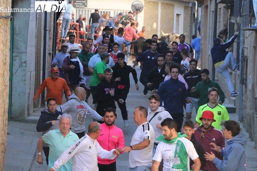 Aldeadávila se prepara para vivir unas intensas Fiestas del Toro