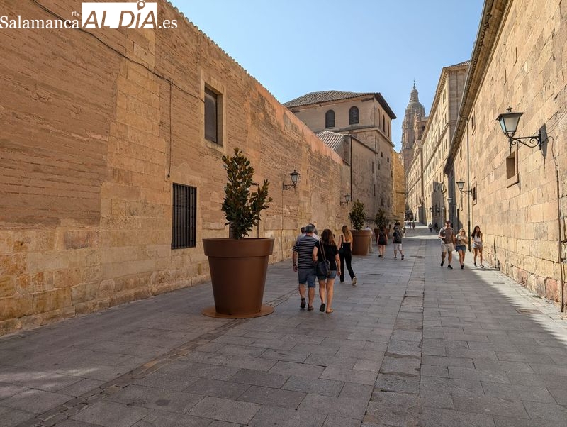 ¿Has visto las macetas gigantes instaladas en el centro de Salamanca?