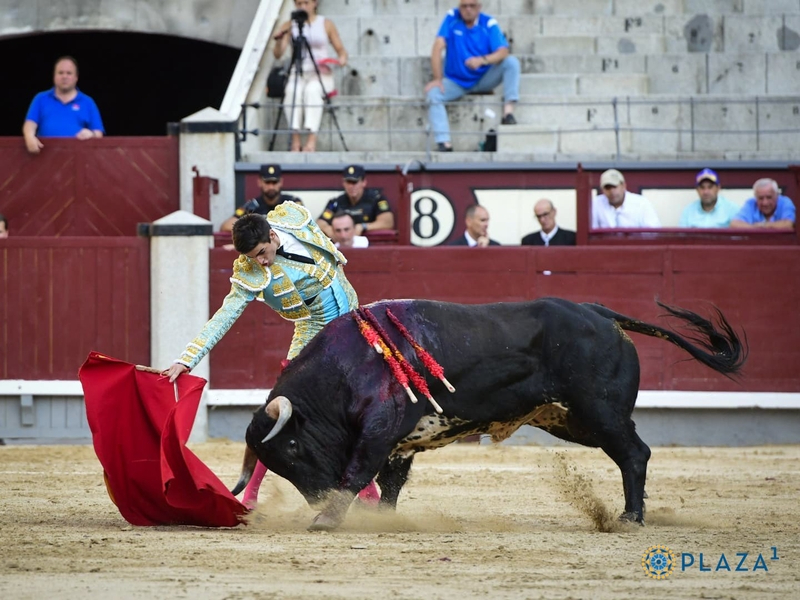 Jesús de la Calzada firma lo más destacado en Las Ventas