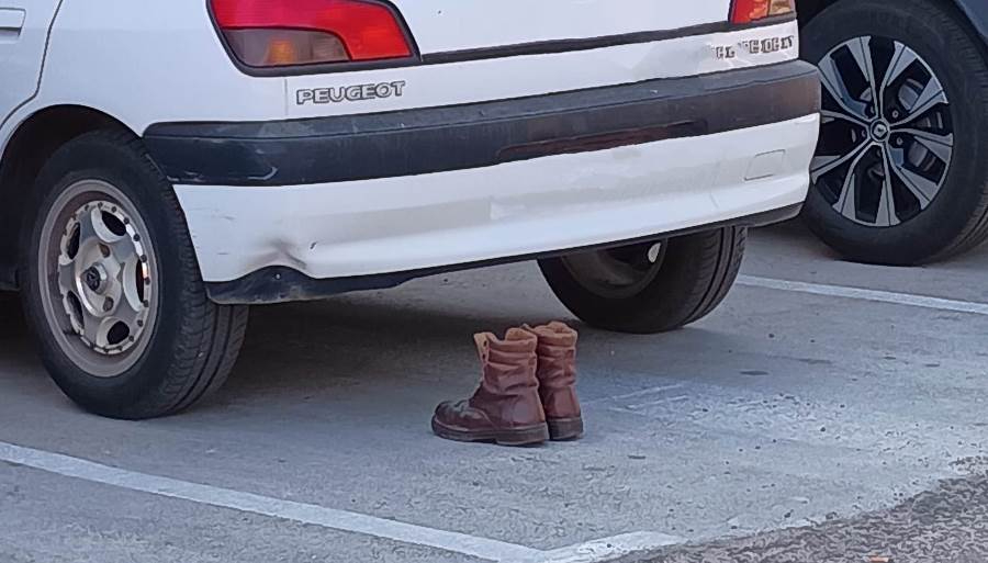 1Foto: Esperando de forma paciente al dueño