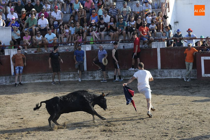 Calurosa y concurrida capea con encierro en Saelices el Chico