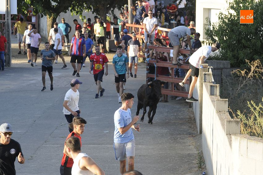 Una capea popular llena las calles de Villar de la Yegua en sus fiestas de verano