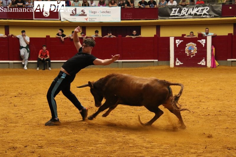 Primer encierro y capea sin incidentes en Alba de Tormes