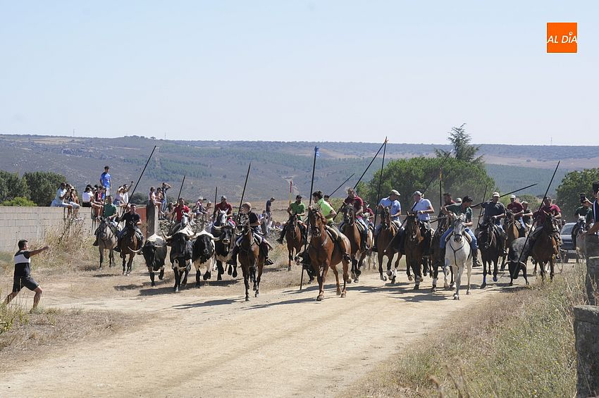 Un vistoso Encierro a Caballo anima la mañana sabatina en Villar de la Yegua