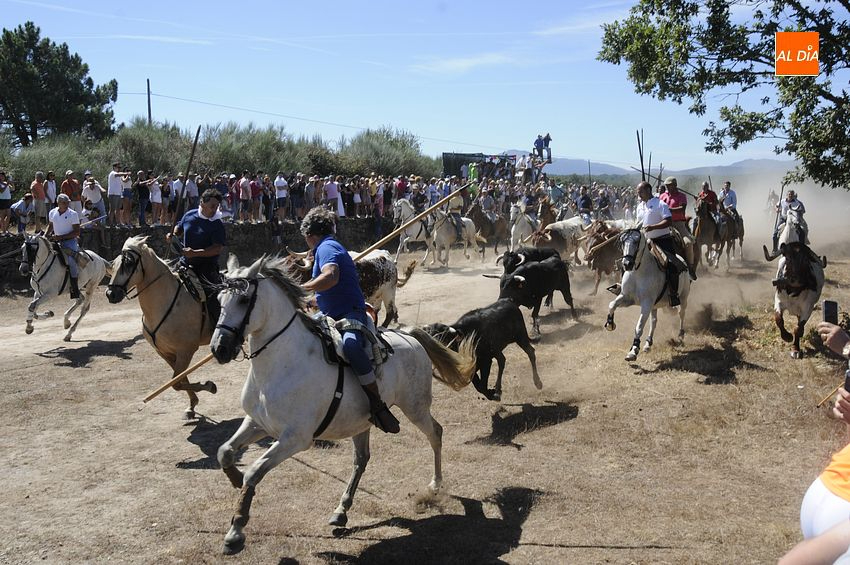 Multitudinario Encierro a Caballo con doble dosis en Casillas de Flores