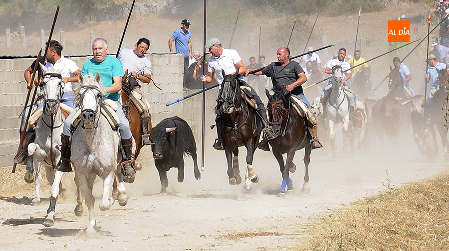 Largo y entretenido Encierro a Caballo que encauza la recta final de las fiestas de san Agustín