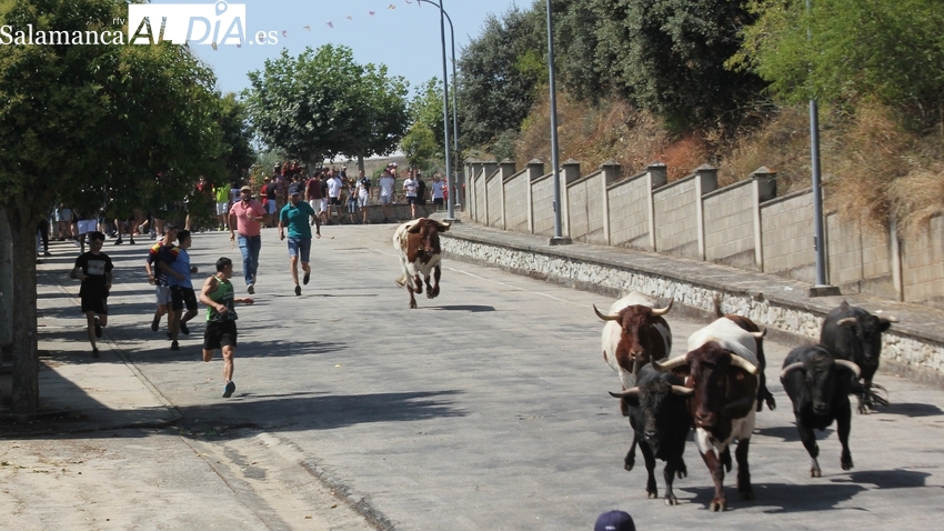 Rápido encierro de Charro de Llen en Saucelle