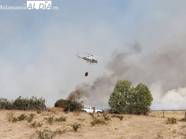Controlado el incendio forestal de Campillo de Azaba