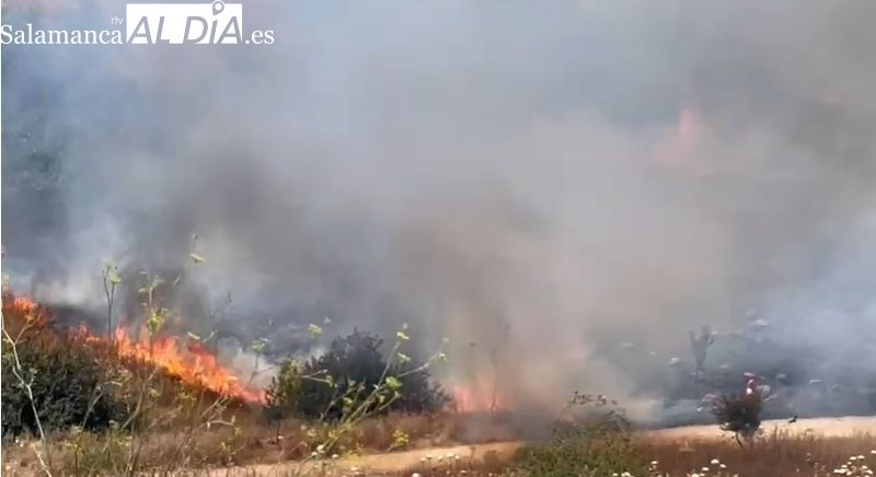 ¿Vas a acampar estos días? Estos consejos para evitar incendios te interesan