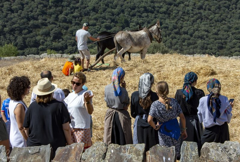 Monsagro viaja en el tiempo para celebrar el Día de la Trilla