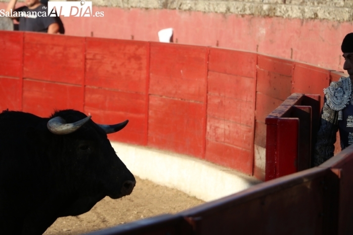 El Ayuntamiento de Vitigudino estudia la apertura de un expediente a la empresa organizadora de los festejos taurinos
