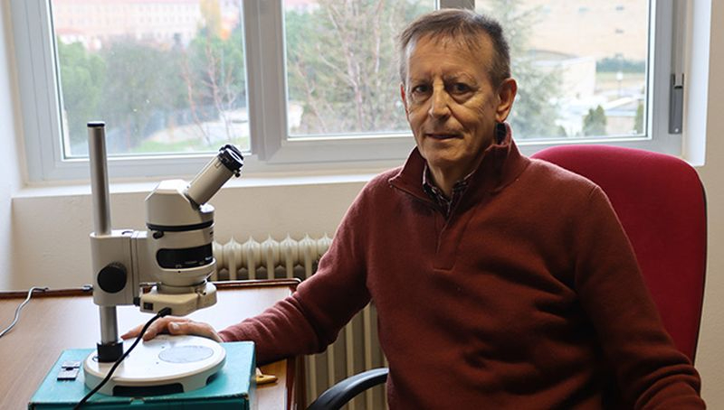 Científicos de la USAL estudian cómo un depósito gigantesco de sal reconfiguró radicalmente la biodiversidad marina del Mediterráneo