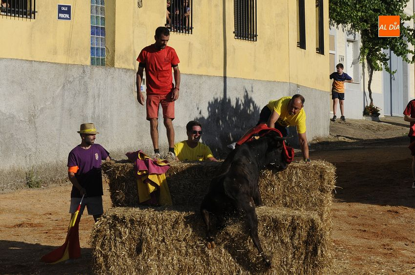 Divertida tarde en La Atalaya con una capea popular en sus fiestas de verano