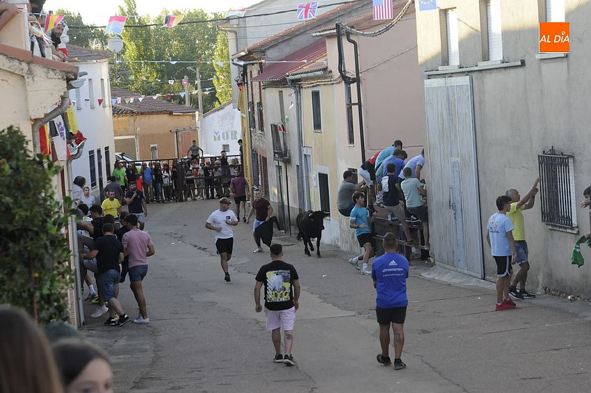 Una Capea Tradicional despide las Fiestas de San Bartolomé en Morasverdes