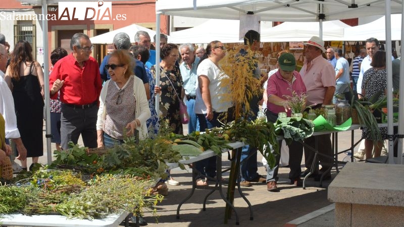 Lumbrales vive un animado cierre de fiestas con la feria hortícola y una comida solidaria