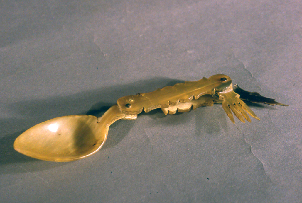 Conceptual y Funcional 