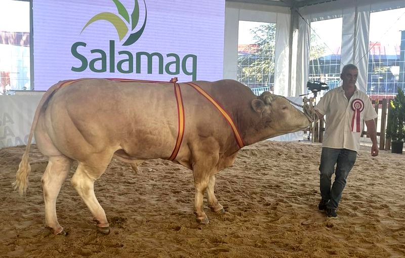 Los ganadores del XVI Concurso Nacional de Raza Blonde de Aquitania