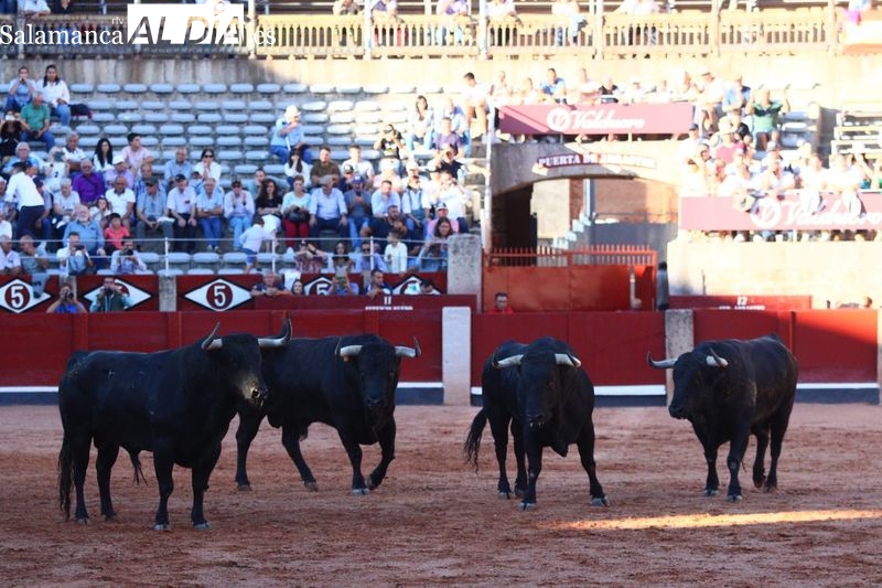 Seriedad de Vellosino y armonía de Capea en el desenjaule