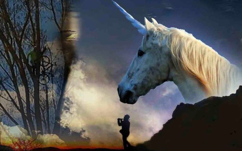 El Teatro Liceo acoge este viernes la proyección de la película ‘Burujú, el último unicornio’