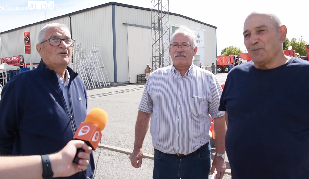 ¿Qué es lo que más gusta de Salamaq? Los visitantes hablan 