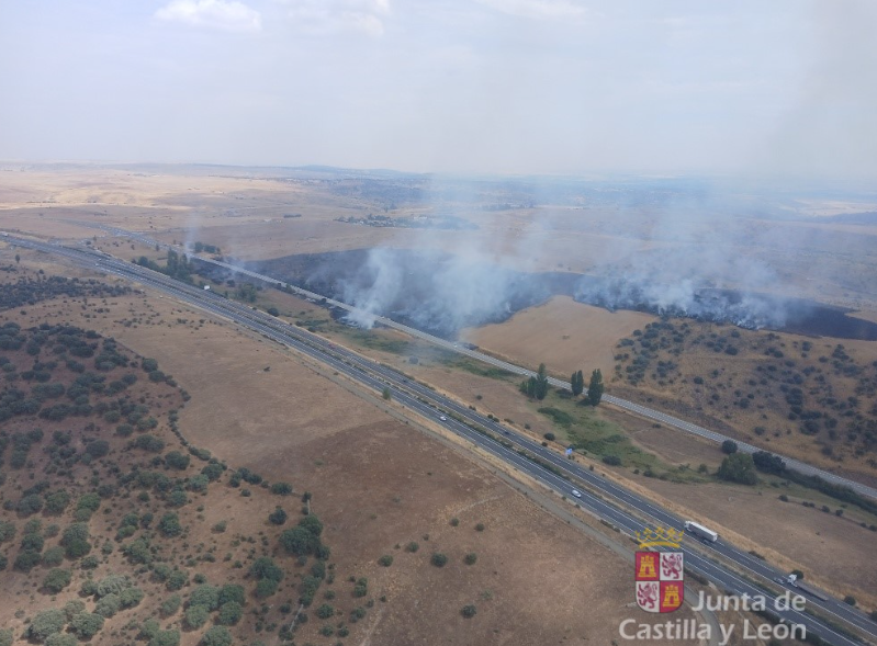 Controlado el incendio forestal declarado en Buenavista