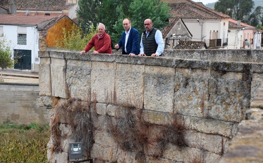 En marcha la eliminación de la vegetación del Puente Mayor