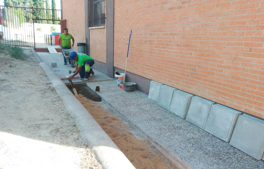 La ampliación de una acera o la poda de una palmera, entre las actuaciones veraniegas en los coles