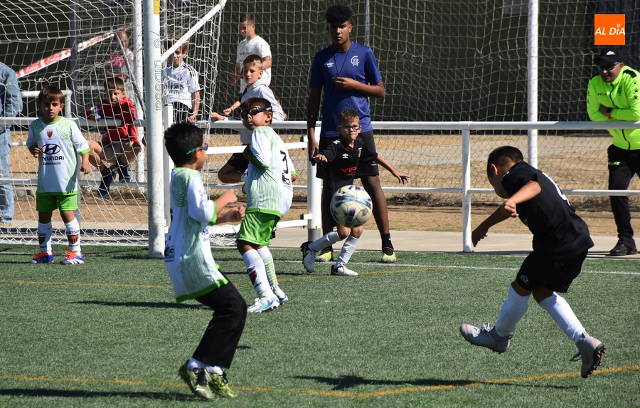 Los benjamines calientan motores para el nuevo curso con el VI Torneo en recuerdo de Toñete