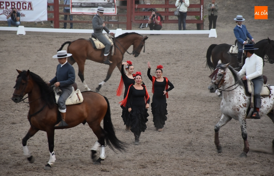 Los ‘Aires Ecuestres de Castilla’ redondean los espectáculos en la pista de competición
