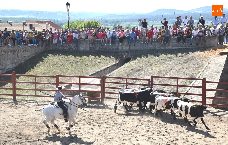 Reformulado el programa de la Feria del Caballo al caerse el Campeonato de Equitación de Trabajo