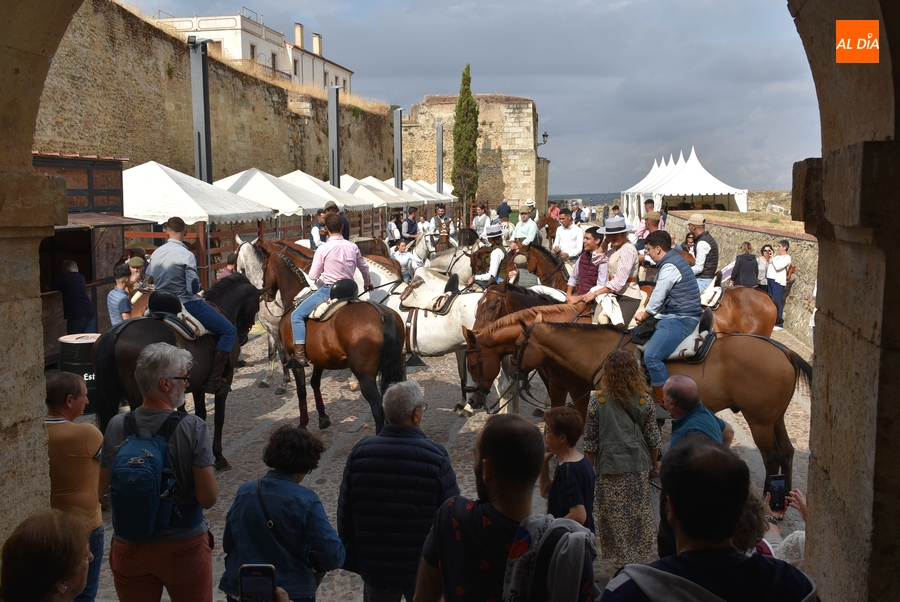 El Registro se estrena como punto de encuentro de los caballistas