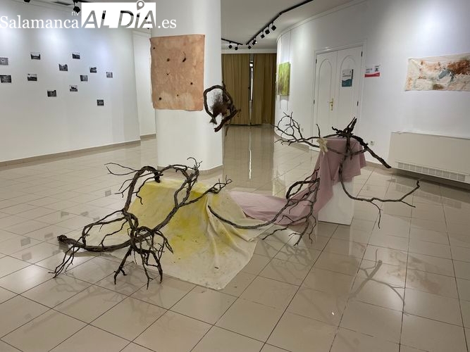 El paisaje que habitamos, la nueva exposición sobre la despoblación que hay en Salamanca 