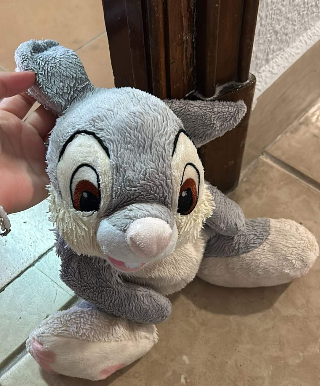 ¡La magia de las redes! Aparece el peluche que buscaba en Salamanca una familia francesa de su hijo fallecido