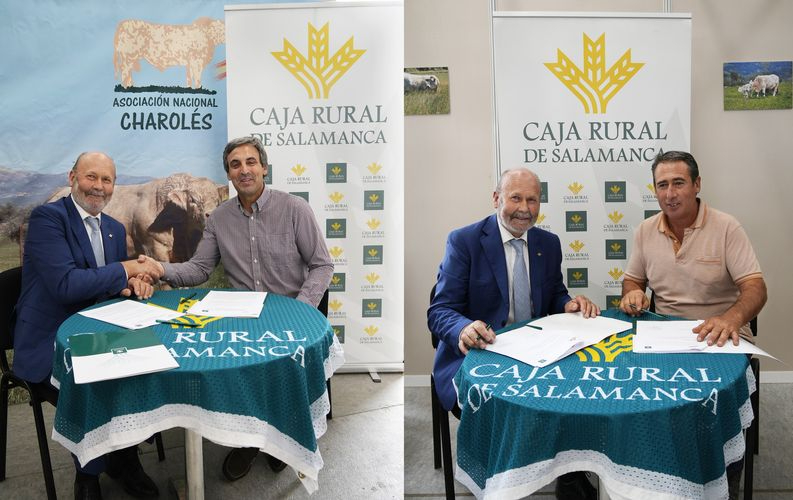 Caja Rural de Salamanca renueva su colaboración con la Unión de Criadores y la Asociación de Ganado Vacuno Charolés