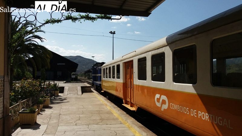 Tren, uvas y Duero: llegar a la Fiesta de las Vendimias sobre raíles