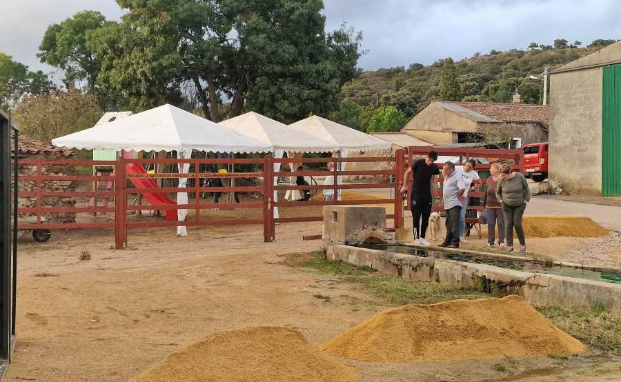 Pedrotoro se prepara para sus fiestas de San Miguel