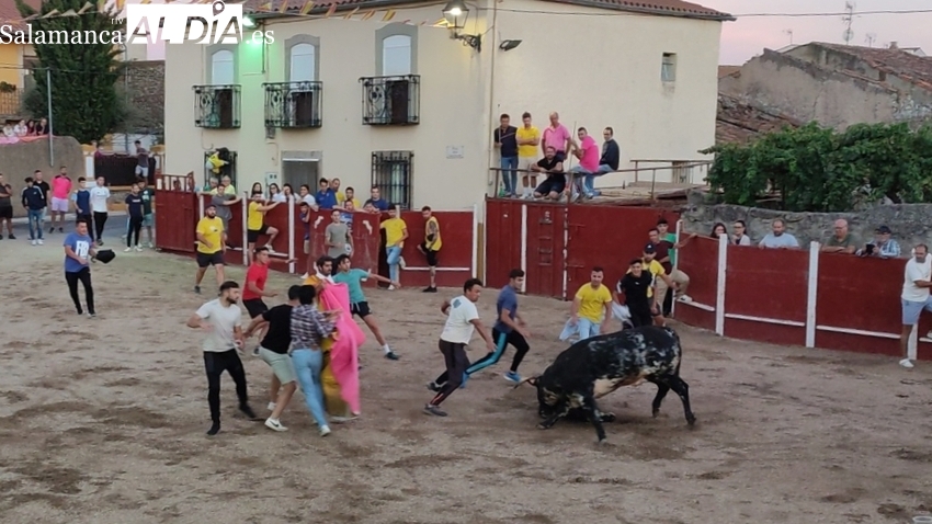 Un entretenido toro de cajón con revolcón incluido da el pistoletazo de salida a las fiestas de Bañobárez