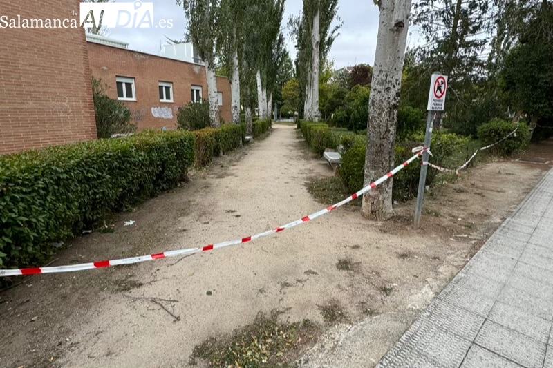 Peñaranda cierra los accesos a los parques y pide a los vecinos extremar precauciones