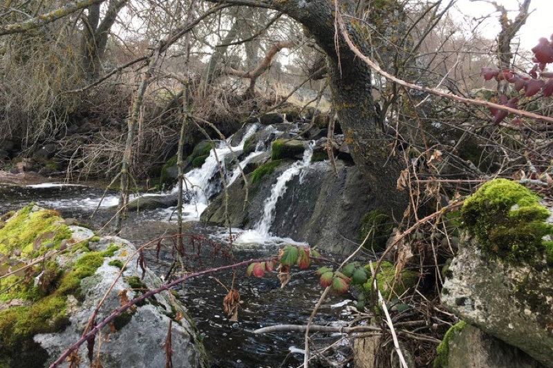 La asociación Me Permito organiza este domingo una ruta otoñal para todas las edades por Malpartida y su entorno natural