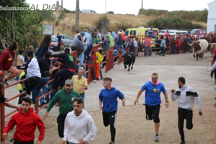 Emocionante encierro de ‘Valrubio’ con dos carreras en Pereña de la Ribera 
