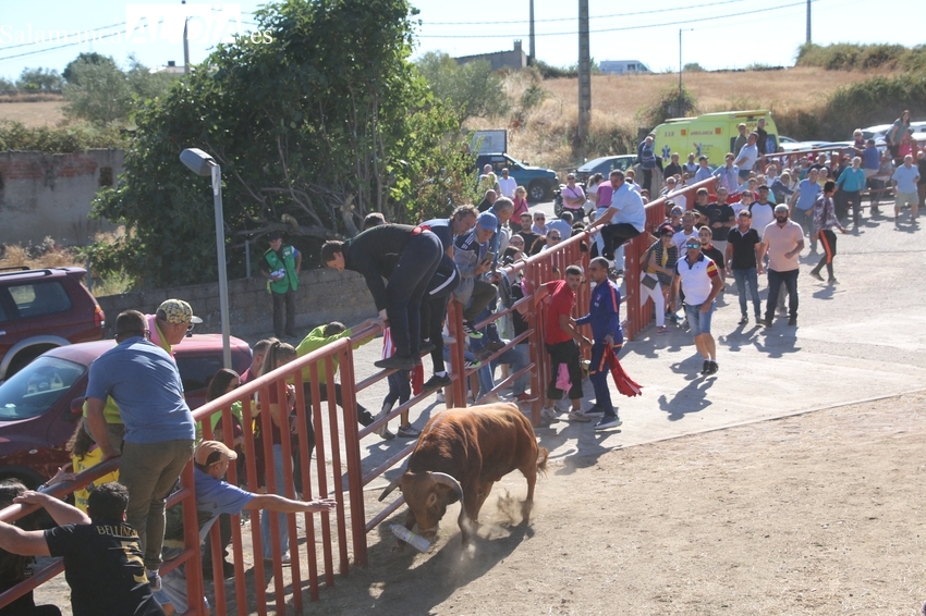 El verano regresa a Pereña de la Ribera para asistir a un vibrante y peligroso encierro de Valdeflores