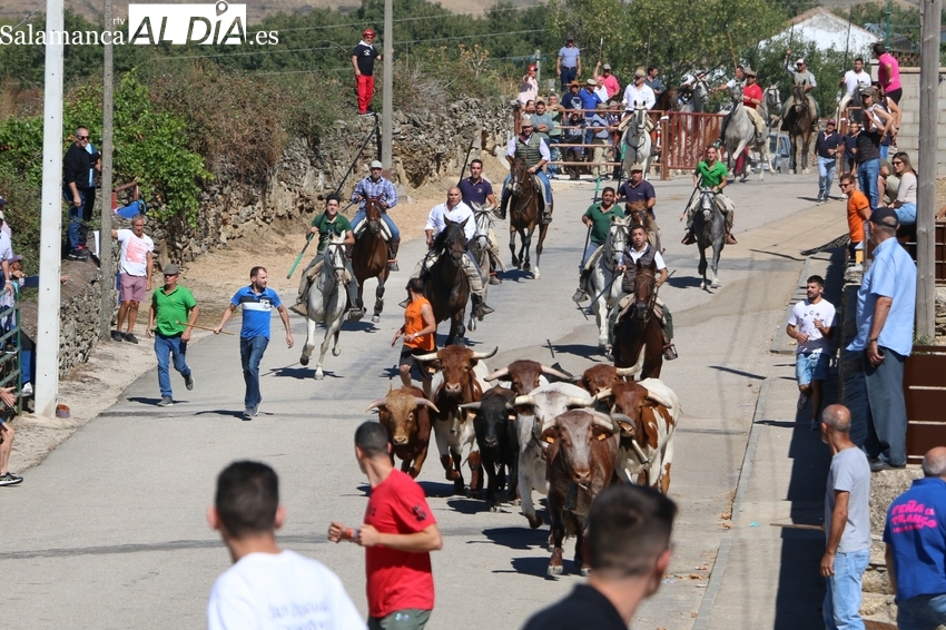 La plasticidad del encierro a caballo de Charro de Llen y Hnos. Sánchez Gil hace afición en Barruecopardo 