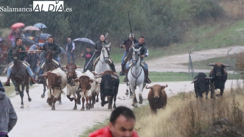 Bañobárez se prepara para celebrar unas fiestas del Cristo de la Salud de lo más taurinas