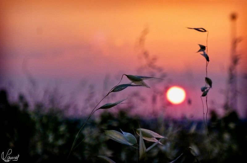 Nueva semana, nuevas ilusiones