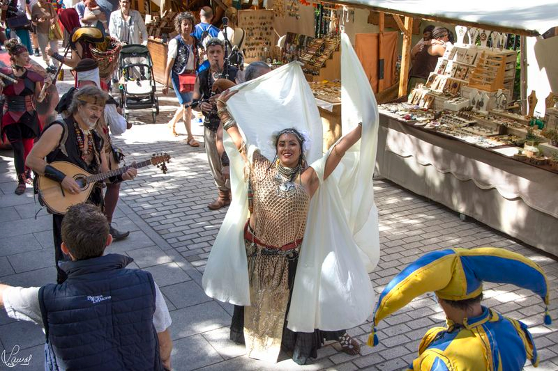 Sumérgete en la magia y el esplendor de la Edad Media en la Vaguada de la Palma de Salamanca