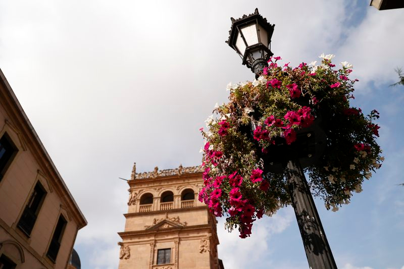 El sol y las caricias 