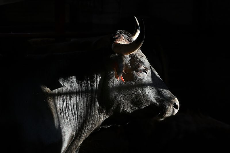Desvelados los ganadores del 35 Premio Nacional Salamanca de Fotografía Agrícola y Ganadera