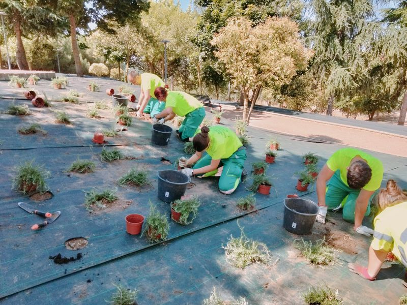 Nuevo programa Mixto de Formación y Empleo que mejorará los paisajes de Cabrerizos