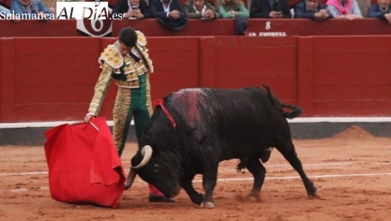 Querido, de Garcigrande, se lleva el Toro de Oro de la Feria de Salamanca 2024